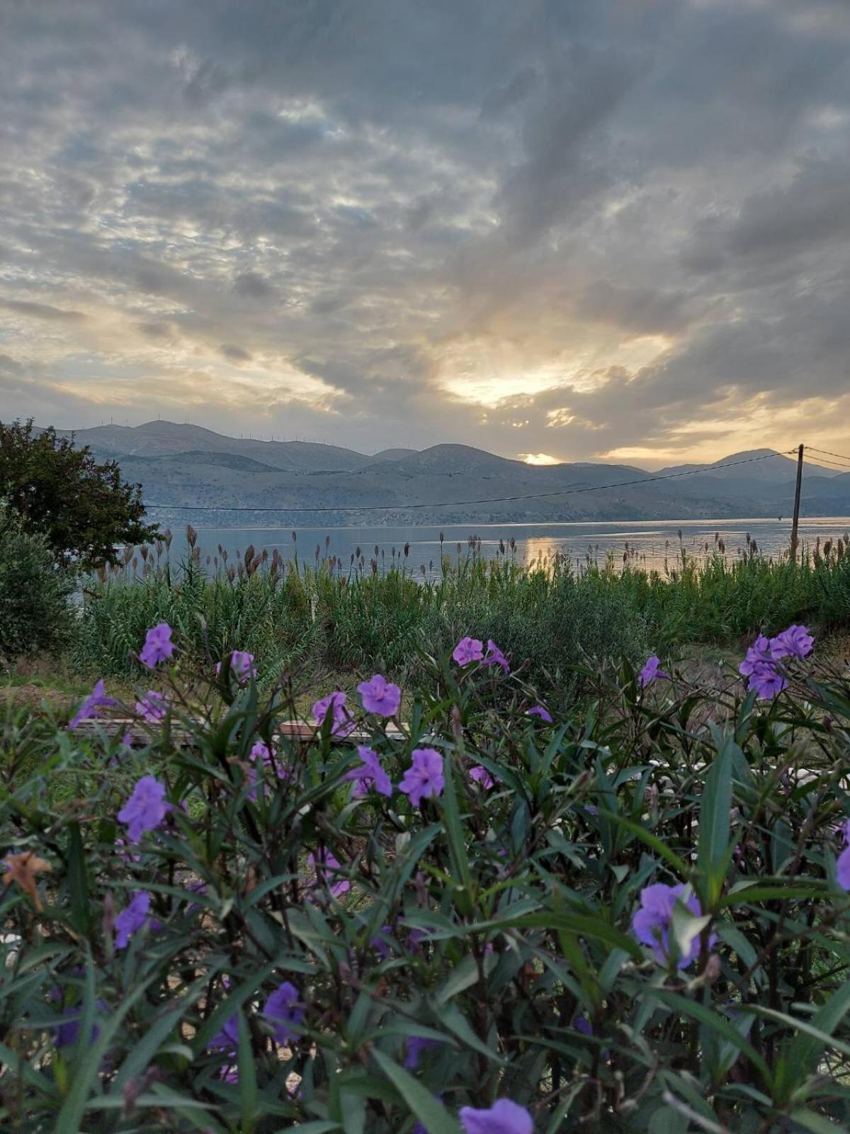 Apollonides Seafront Villa1 Aoede Ліксурі Екстер'єр фото