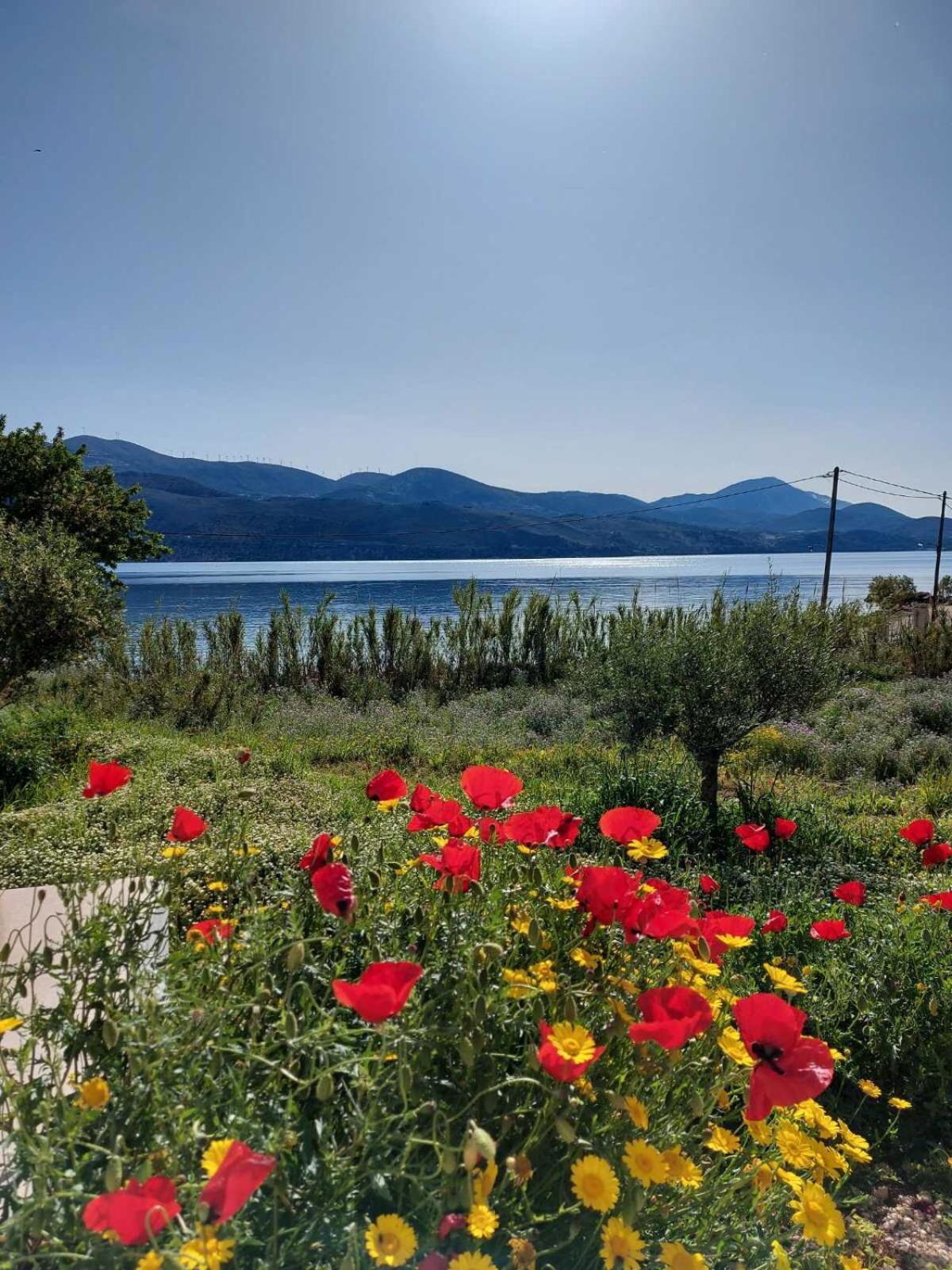 Apollonides Seafront Villa1 Aoede Ліксурі Екстер'єр фото